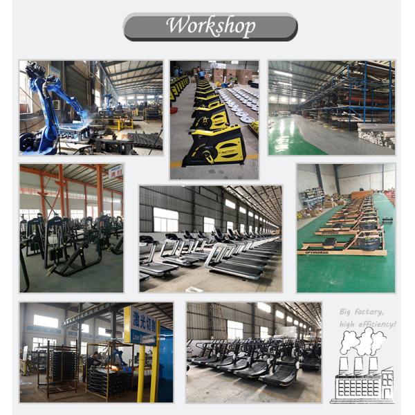 Online Bodybuilding 1240*720*1600mm Leg Raise Machine