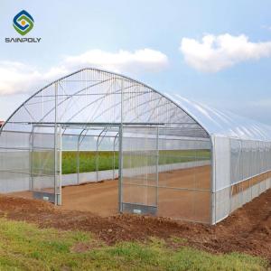 China 0.20mm Cucumber Plant Pe Film Single Span Greenhouse on sale