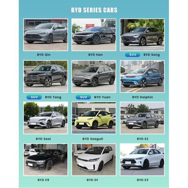 2022 BYD Dolphin EV Car Vehicles Zero Emission Vitality Edition