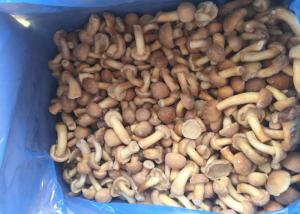 Quality Grade A IQF Mushrooms / Frozen Cultivated Nameko Mushrooms With Typical Taste for sale