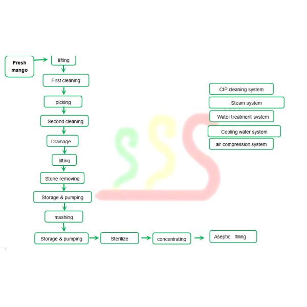 5ton Per Hour Mango Pulp Processing Line Aseptic Big Bag Packing
