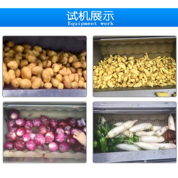 Potato Cassava Yam Brush Washing And Peeling Machine With One Year Warranty