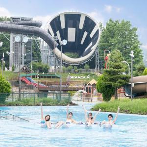 Wholesale Aqua Park Great Fun Big Cool Fiberglass Water Slides