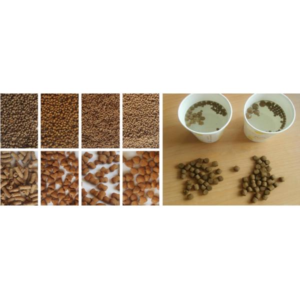 Multi Functional Pellet Extruder Machine Floating Fish Feed Making Machine
