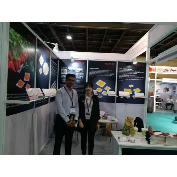 Pure Gold Wire 130LM 9V Smd Led 2835 1w