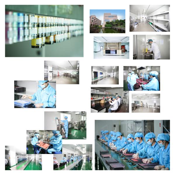 SGS Real Hair 230g Facial Makeup Brushes Waterproof Private Label