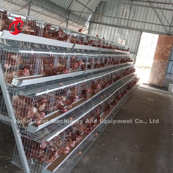 Toughness House Design Laying Chicken Battery Cage System With Cage Mesh Iris