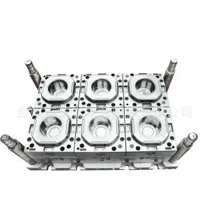 Quality preservation box mold for sale