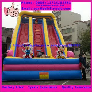 Inflatable Cool Jumping Pirate Slide Bouncer Inflatable Castle Slide