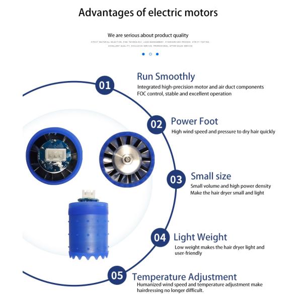 Faradyi Customized BLDC Motor 15w 90w 120w 200w 24v 48v Brushless Gear Motor For Electric Appliance/Hair Dryer