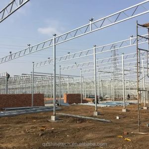 Vegetable Fruits Flowers Multi Span Agricultural Greenhouses With Hydroponic