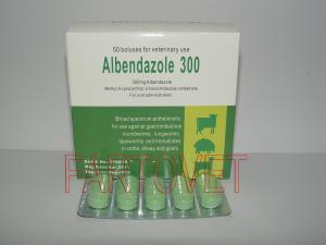 albendazole300mg tablet