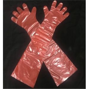 China Water Tight Disposable Plastic Gloves , LDPE Long Veterinary Gloves on sale