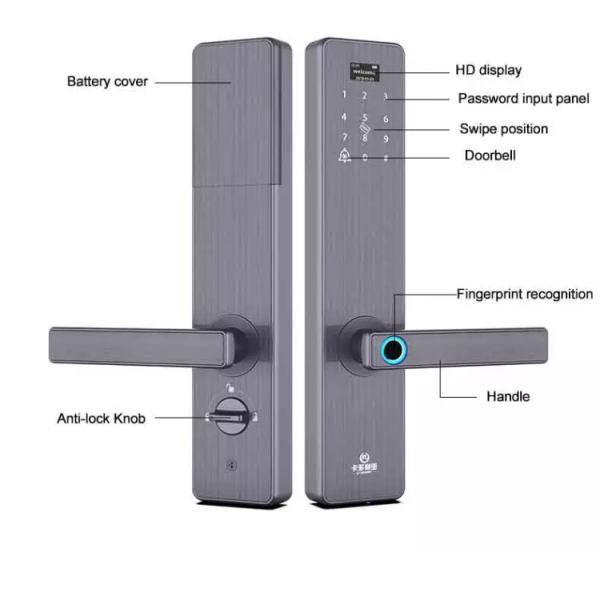 Three Color Electronic Smart Door Lock , Good Appearance Biometric Digital Door Lock