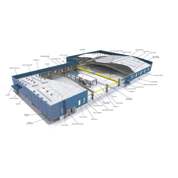 Anti Corrosive Steel Structure Poultry House Galvanized Farm Bird Shed Construction