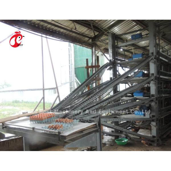 Automatic Hdg Battery System Of Poultry Farming With Nipple Drinker Rose