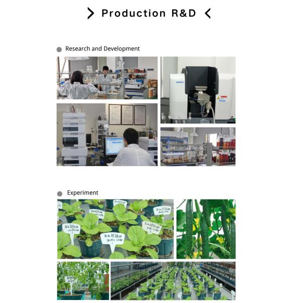 Hydrolyzed 85% Amino Acid Powder Fluidity Amino Acid Powder Fertilizer Raw Material Chloride Free