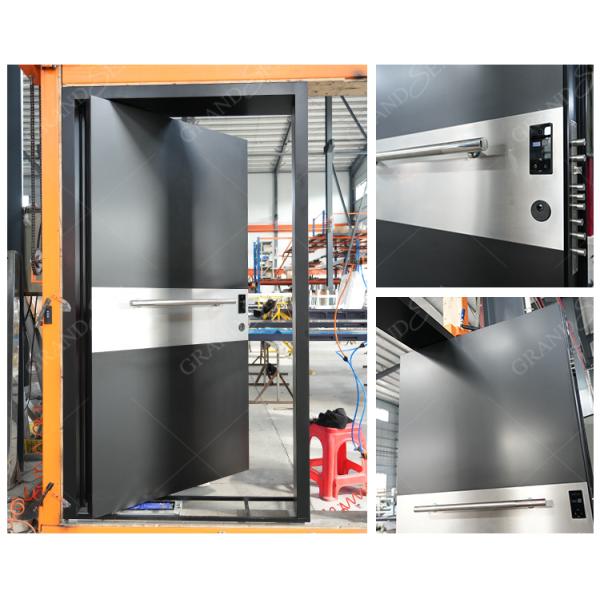 Hot Sales House Main Big Iron Stainless Steel Luxurious Cast Aluminum Modern Entry Exterior Entrance Door Pivot