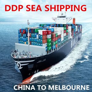 Quality Sea Freight Forwarder Cargo Ship From China To Australia for sale