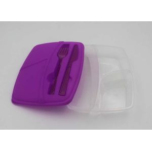 Quality Convenient And Safety Hard Plastic Lunch Boxes With Compartments OEM for sale