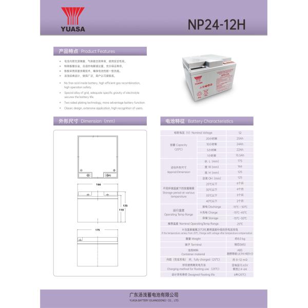 YUASA Np24-12 12V 24Ah Best Energy Storage UPS Lead-acid Battery for Solar System and Electric Power