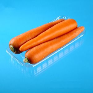 Supermarket 24*12*2.5cm Disposable Vegetable Trays