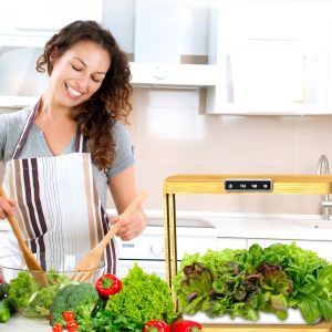 China LED Growth Light Home Intelligent Hydroponic Vegetable Flower Planting System on sale