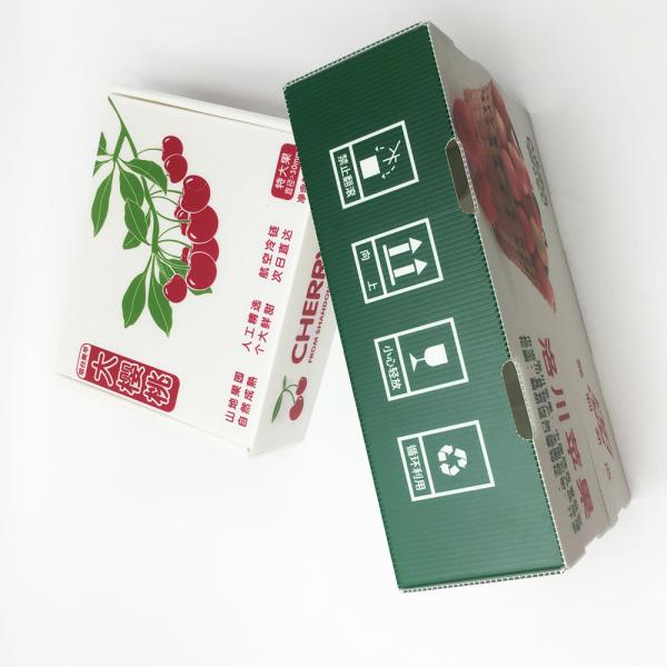 Moisture Resistance Frozen Food Carton Corrugated PP Box HD Printing Honeycomb