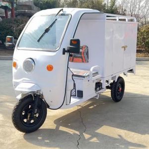 Quality Passenger Electric Delivery Tricycle Freight Lightweight Electric Delivery Trike Fast for sale