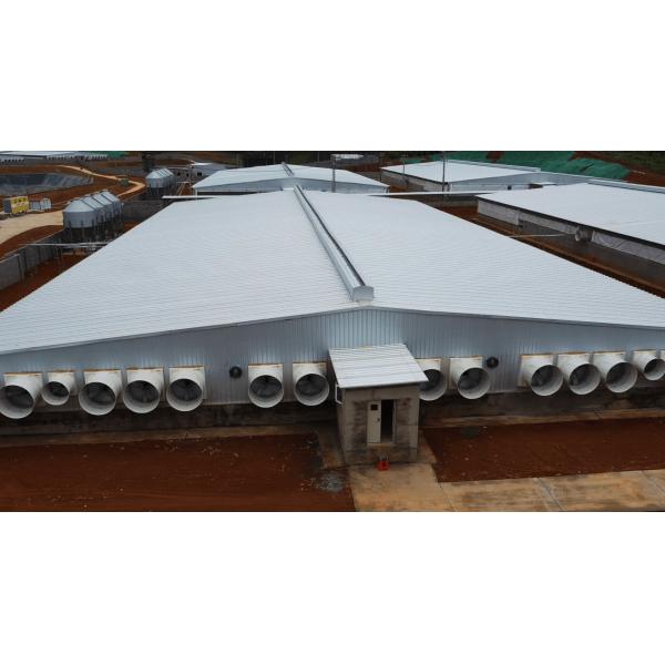 OEM ODM Livestock Barn Ventilation Negative Pressure Exhaust Fan