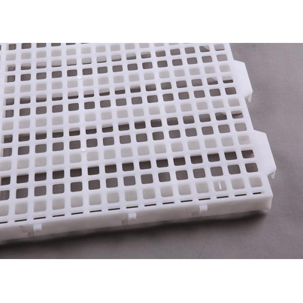 ISO Goat Farm Plastic Slatted Floor 1200*500*40mm White Orange