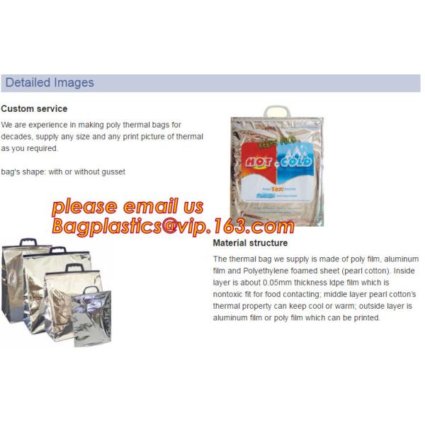 Foldable Lunch Insulated Cooler Bag Heated Food Delivery Bag Thermal Pizza Delivery Cooler Bag