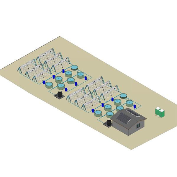 Commercial Fish Hydroponics System Aquaponics Greenhouse Kit For Fish Vegetable