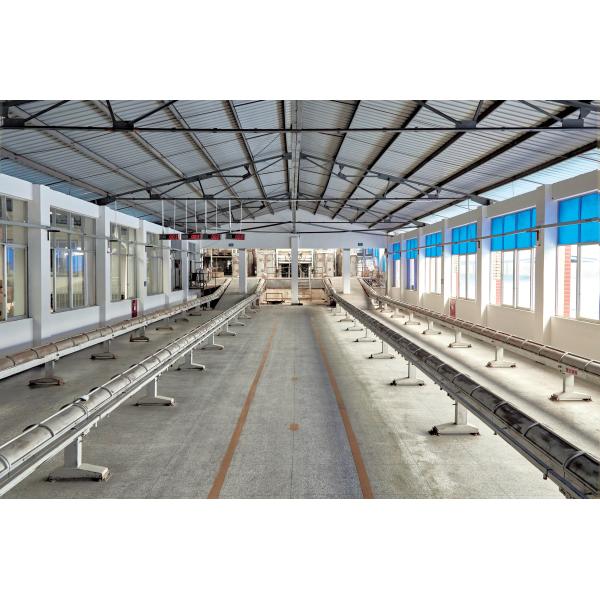 10ml amber borosilicate glass ampoule medical cosmetic use