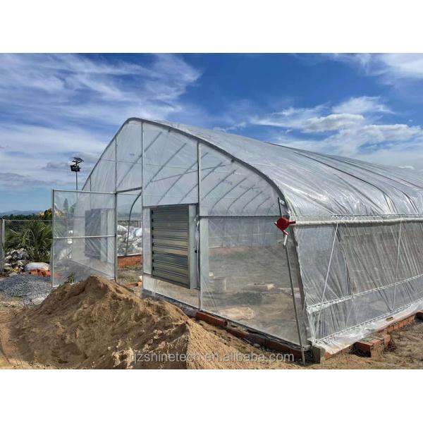 Single Span Greenhouse Simple Frame Poly Tunnel Film Greenhouse For Agricultural