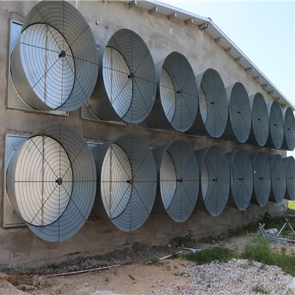 European Type Large Scale Industrial Meat Rabbit Farm Cage Manufacturer/Commercial Rabbit Breeding Cage