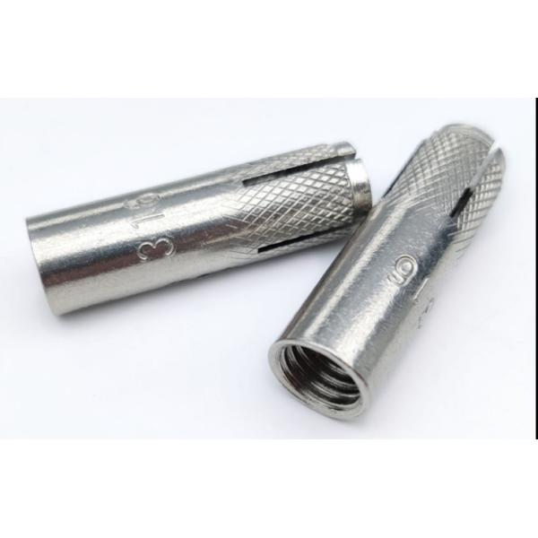 Stainless steel SS304 SS316 A2-70 A4-80 Drop In Anchor Bolts Expansion Bolts