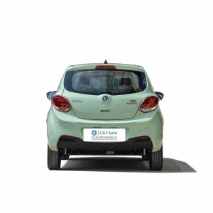 Changan Benben Estar Mini EV Car Electric Vehicle Hatchback 55kW