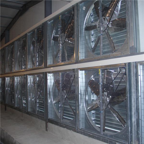European Type Large Scale Industrial Meat Rabbit Farm Cage Manufacturer/Commercial Rabbit Breeding Cage