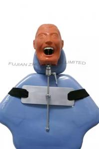 Quality Dental Simulator Manikin Phantom Head Chair Mount Typodont Model for sale