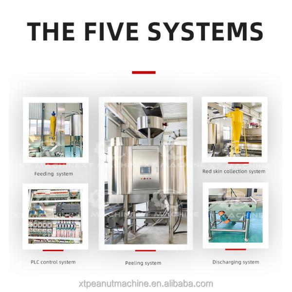 500kg/h Air Peanut Blanching Machine Hazelnut Peeling Machine for Nut Processing Plants