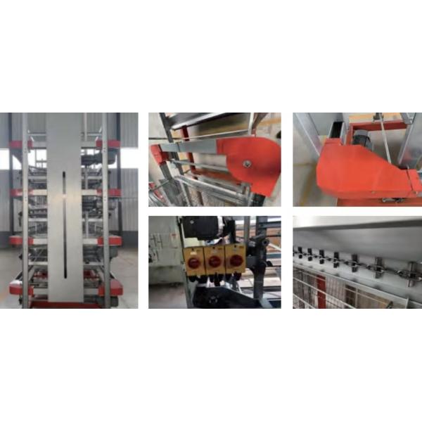 Automatic Broiler Poultry Farming Equipment Galvanized H Type Battery Chicken Cages