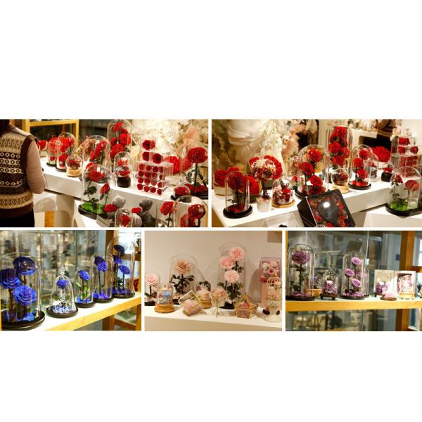 beauty and the beast roses preserved roses in glass dome rose for lover's gift