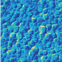 Multi Functional AFM Atomic Force Microscopy Precise Biology Microscope