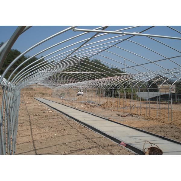 Film Surface Material Multi-Span Agricultural Greenhouses IGreen Greenhouse
