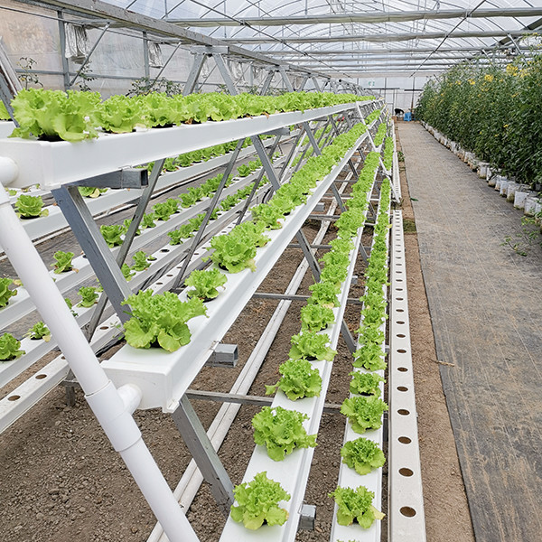 A Frame PVC Nutrient Film Hydroponic System Nft Vertical Farming