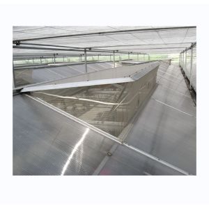 Vegetable Fruits And Flowers Multi Span Agricultural Greenhouse With Tempered