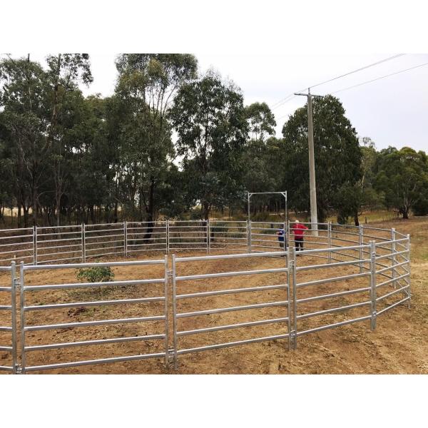 1.8 x 2.1MHeavy Duty Used Cattle Yards For Sale Cattle Yard Fencing 6 Oval