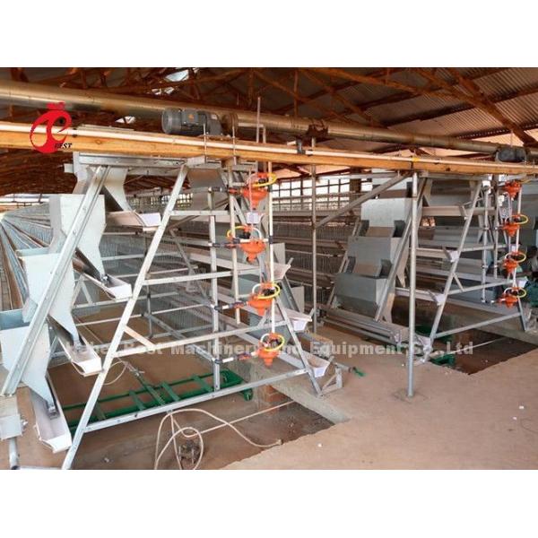 Ladder Type Chicken 2.4mm Automatic Battery Cage System In Poultry Emily