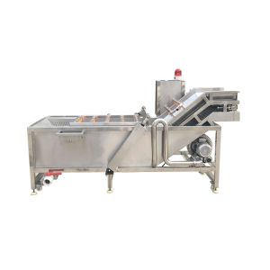 Quality Fresh Mango Brush Roller 500kg/hour Vegetable Washing Machine for sale